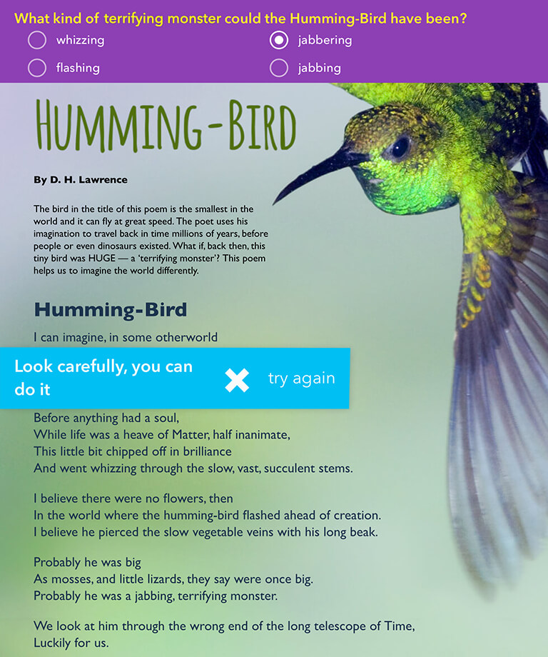 Hummingbird question